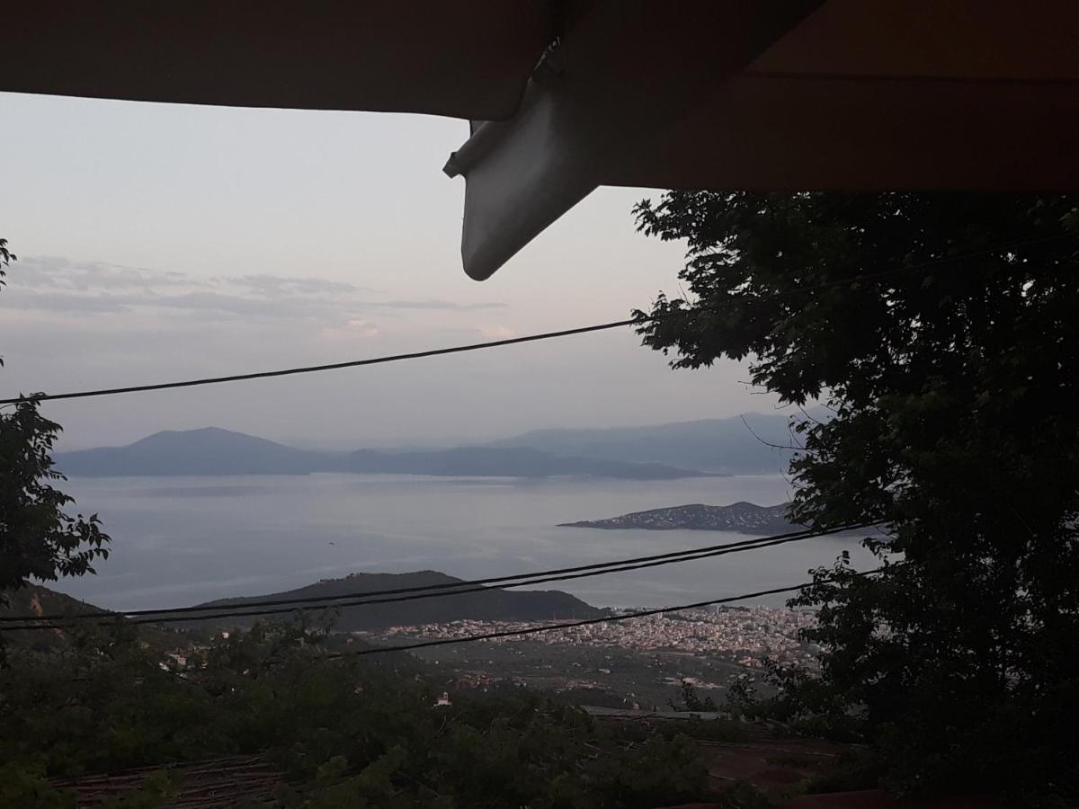 Mansion Theodora Otel Makrinítsa Dış mekan fotoğraf