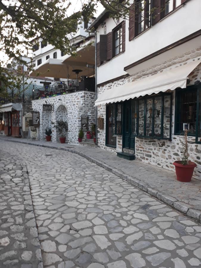 Mansion Theodora Otel Makrinítsa Dış mekan fotoğraf