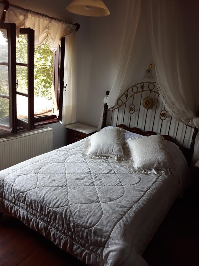 Mansion Theodora Otel Makrinítsa Dış mekan fotoğraf